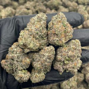 juicy fruit gelato