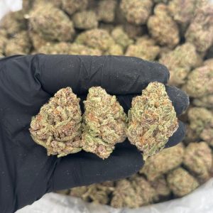 purple punch