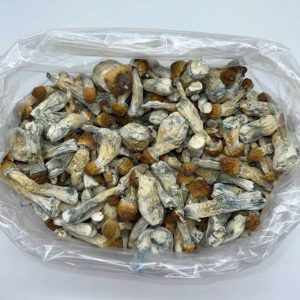 Shrooms